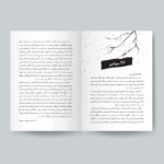 کتاب بابا لنگ دراز اثر جین وبستر انتشارات یوشیتا - Image 4