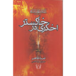 کتاب اخگری در خاکستر اثر صبا طاهر ترجمه لیلا فتحی انتشارات آرنیا - Image 2