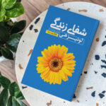 کتاب شفای زندگی اثر لوئیز هی انتشارات یوشیتا - Image 3